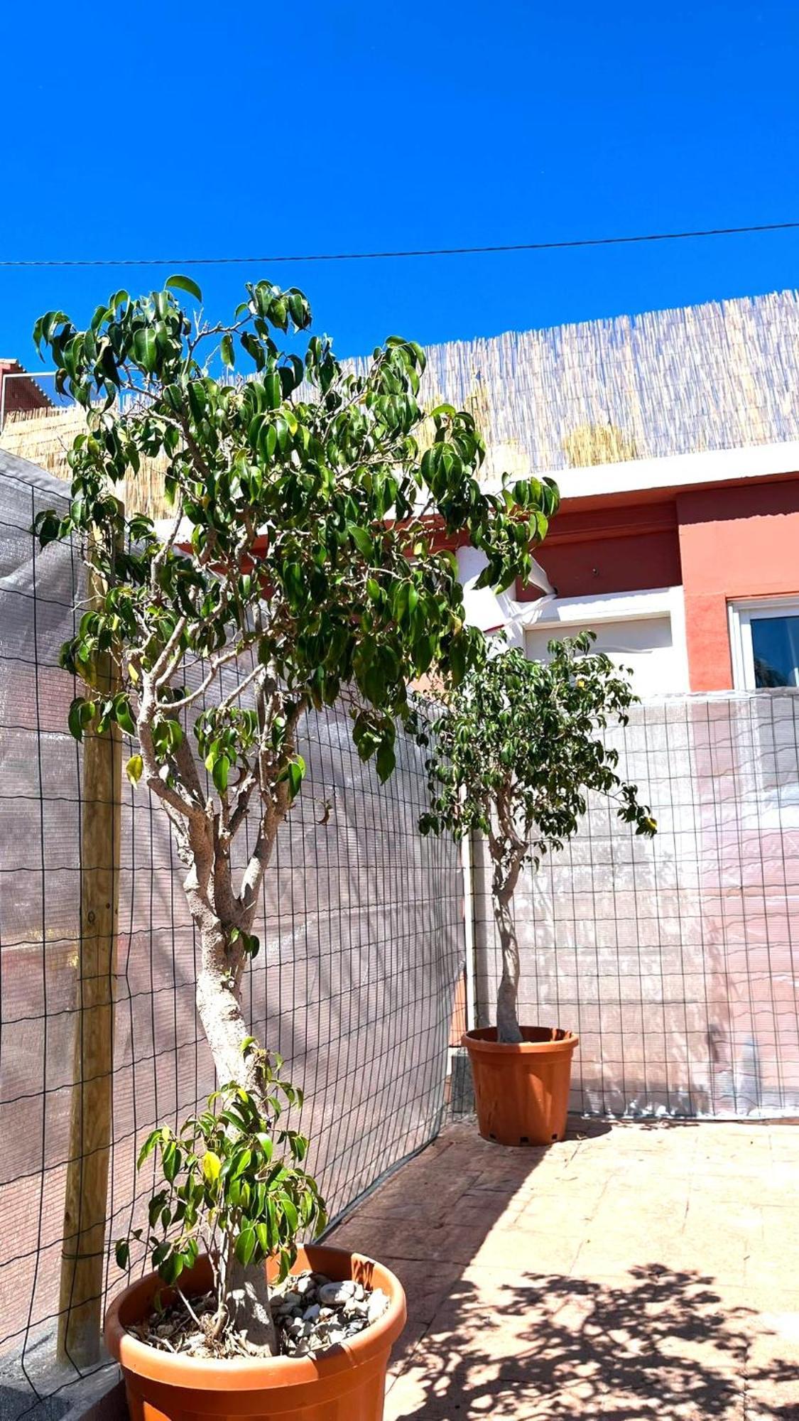 Apartamento Leyda En Marbella Exterior foto